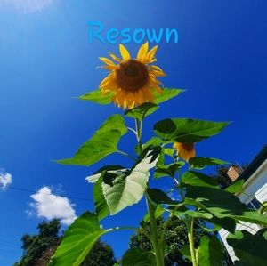 Meet your Posher, Resown